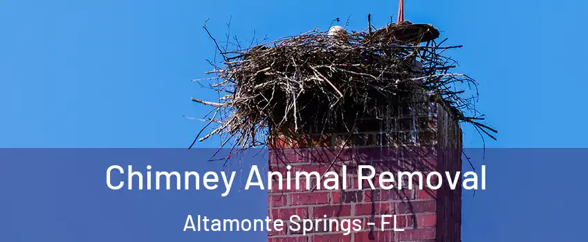  Chimney Animal Removal Altamonte Springs - FL