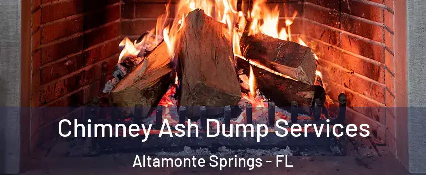  Chimney Ash Dump Services Altamonte Springs - FL
