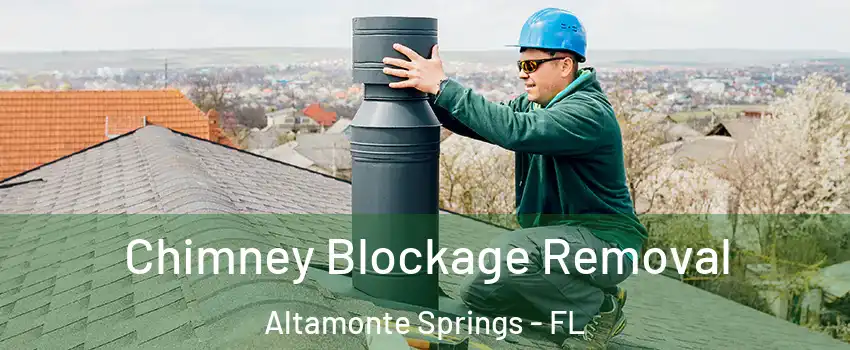  Chimney Blockage Removal Altamonte Springs - FL