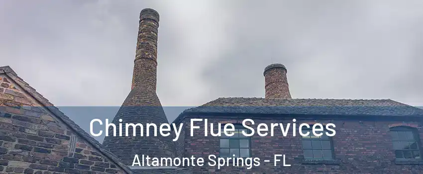  Chimney Flue Services Altamonte Springs - FL