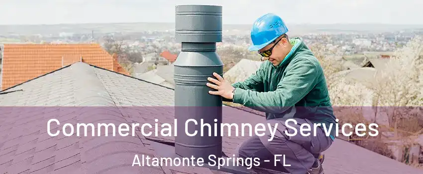  Commercial Chimney Services Altamonte Springs - FL