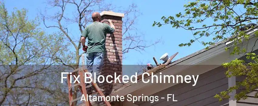  Fix Blocked Chimney Altamonte Springs - FL