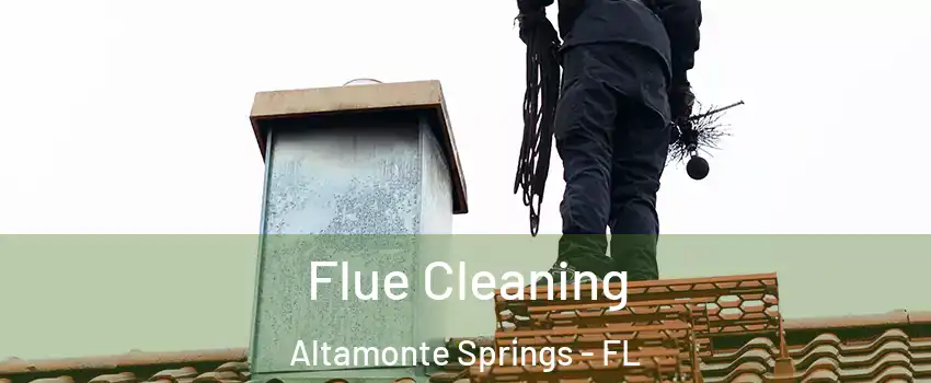  Flue Cleaning Altamonte Springs - FL