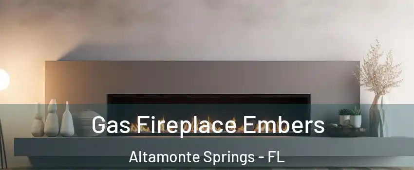  Gas Fireplace Embers Altamonte Springs - FL
