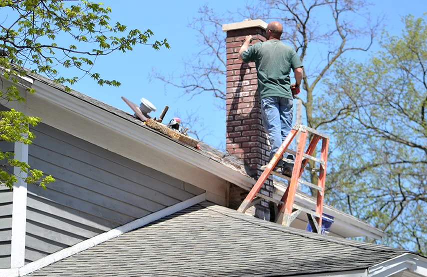 Chimney & Fireplace Inspections Services in Altamonte Springs, FL