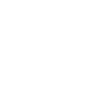 Professional Chimney Flue Installation in Altamonte Springs, Florida