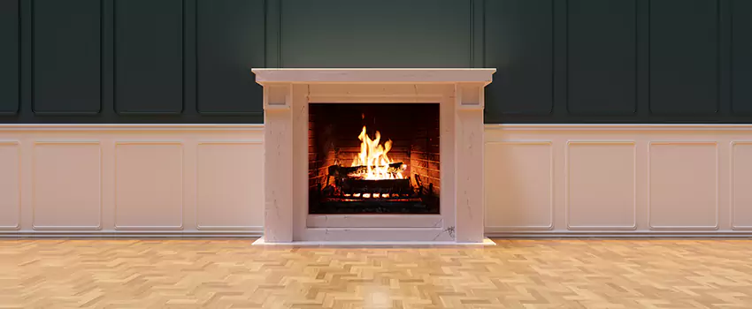 Napoleon Electric Fireplaces Inspection Service in Altamonte Springs, Florida