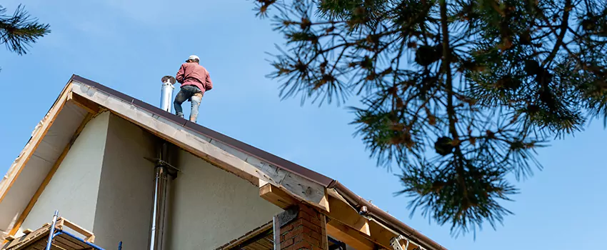 Birds Removal Contractors from Chimney in Altamonte Springs, FL