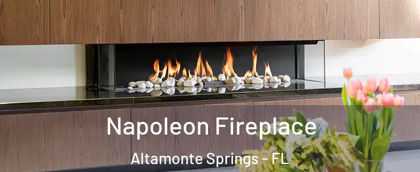  Napoleon Fireplace Altamonte Springs - FL