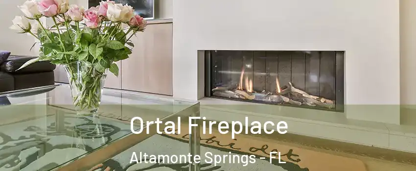  Ortal Fireplace Altamonte Springs - FL